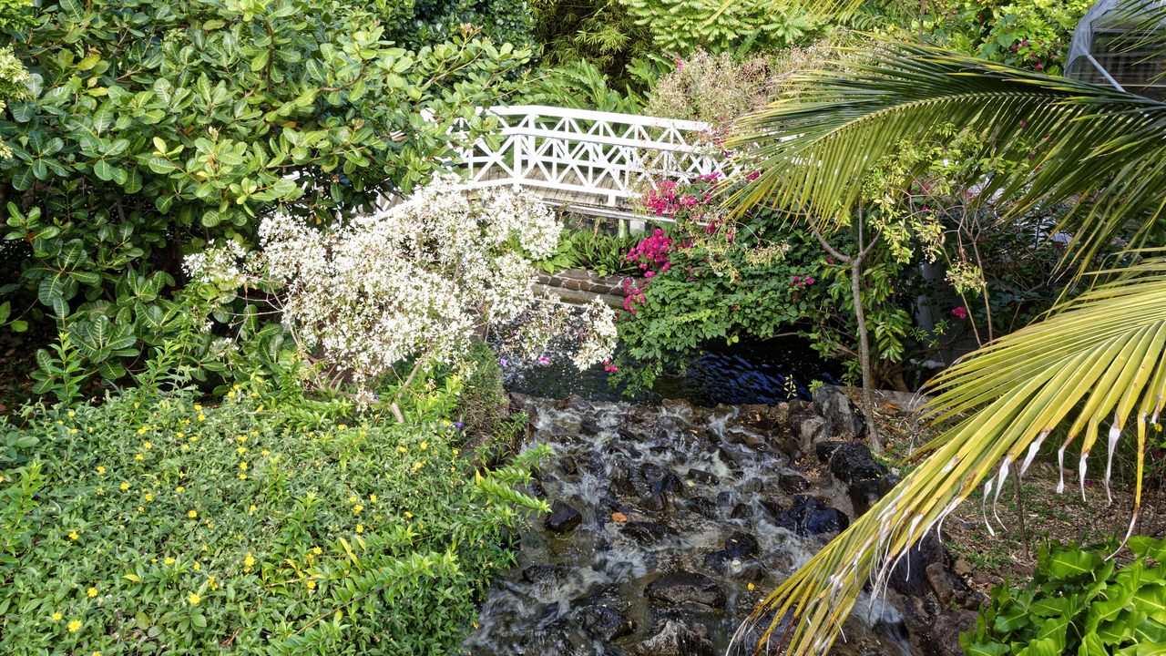 20170209 093650•Stony Hill•GrosIslet•Saint Lucia